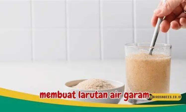 Solusi Alami Gusi Bengkak Segelas air hangat dan garam sebagai obat alami gusi bengkak
