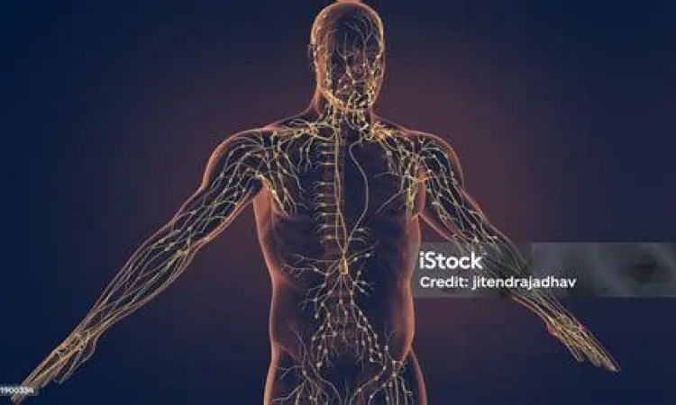 Diagram sistem limfatik manusia yang menunjukkan letak kelenjar getah bening