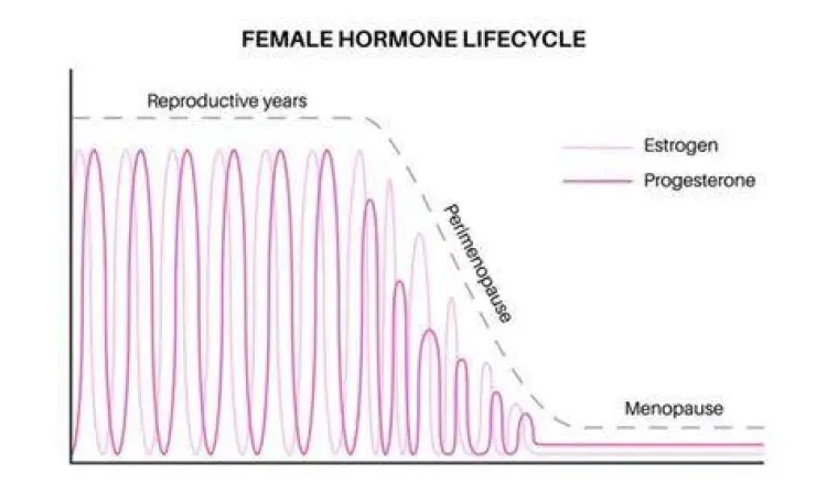 Gaya Hidup Sehat untuk Haid Teratur Wanita melakukan yoga untuk keseimbangan hormon