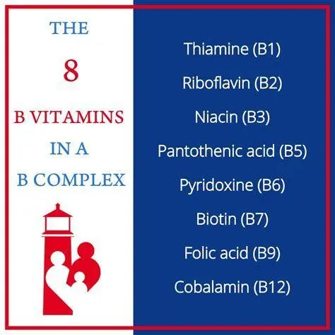 Jenis-Jenis Vitamin B Infografis delapan jenis vitamin b complex