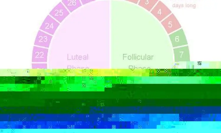 Ilustrasi pelacakan siklus menstruasi