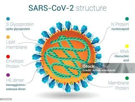 Struktur Virus Corona Struktur mikroskopis virus SARS-CoV-2 penyebab COVID-19