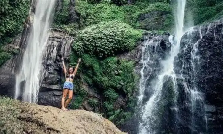 Seseorang bekerja dari rumah menggunakan laptop