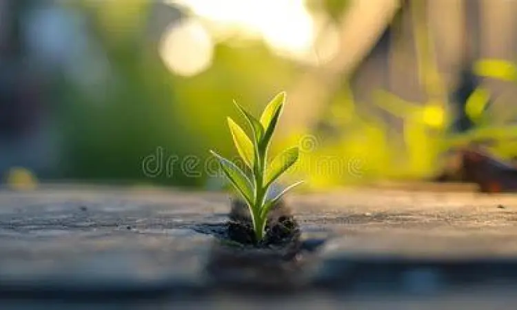 Awal Baru dan Transformasi Simbol awal baru dalam hidup