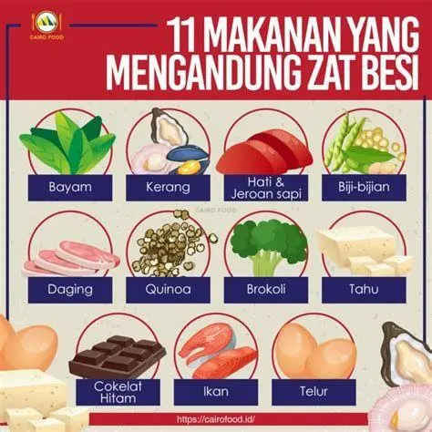 Makanan Penambah Darah Makanan penambah darah alami pendukung suplemen