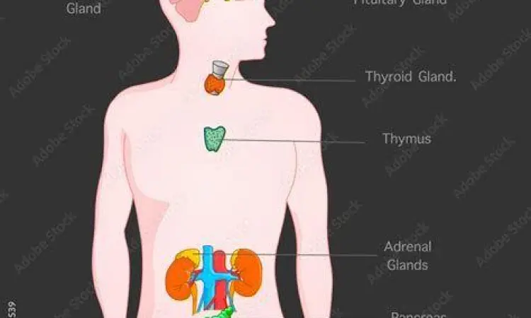 Penjelasan anatomi pria terkait kesehatan reproduksi