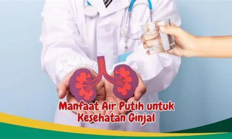 Hidrasi Tubuh Pentingnya hidrasi untuk mencegah infeksi saluran kemih