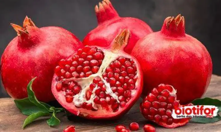 Buah delima dan bit merah untuk kesehatan darah