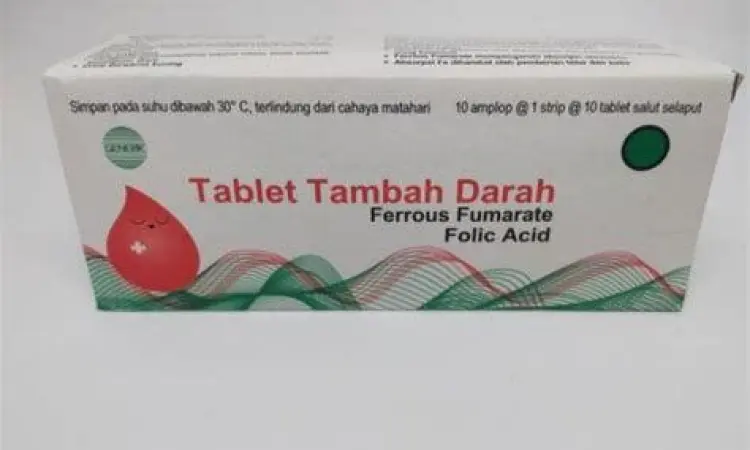 Suplemen zat besi dan asam folat