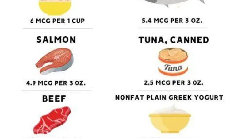 Pilihan makanan sehat mengandung vitamin B12 dan folat