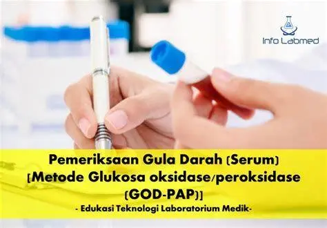 Cek Gula Darah Medis Prosedur pengambilan sampel darah untuk cek gula darah