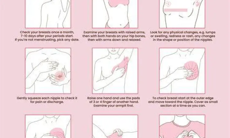 Pemeriksaan Mandiri Teknik pemeriksaan payudara mandiri termasuk area ketiak