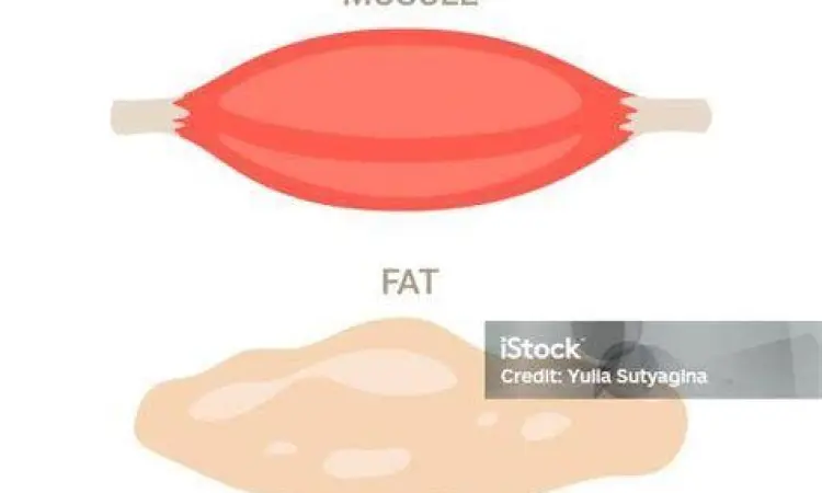 Perbandingan visual massa otot dan lemak pada tubuh manusia