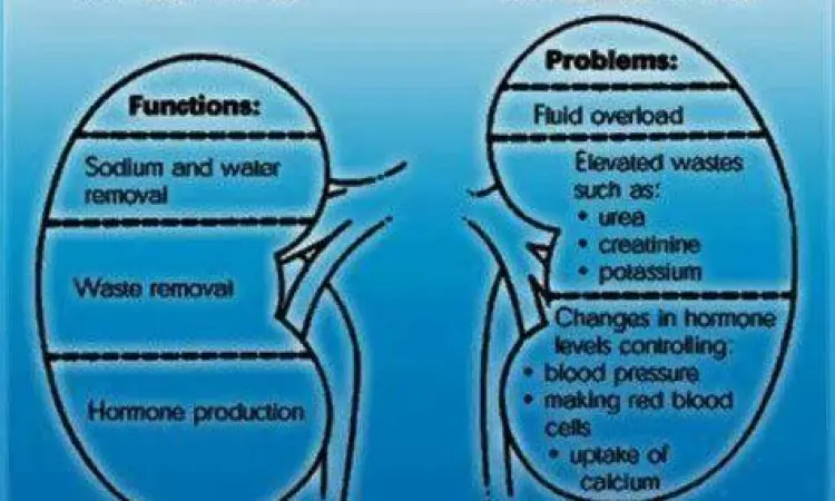 Perbandingan ginjal sehat dan ginjal dengan gangguan fungsi