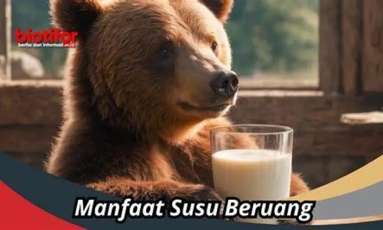 Penyajian Susu Beruang Cara menyajikan susu beruang dengan tepat