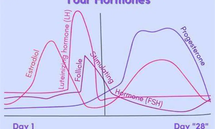 Grafik kadar hormon dalam siklus menstruasi