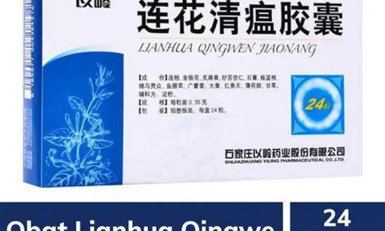 Manfaat Kesehatan Pernapasan Ilustrasi saluran pernapasan manusia yang sehat