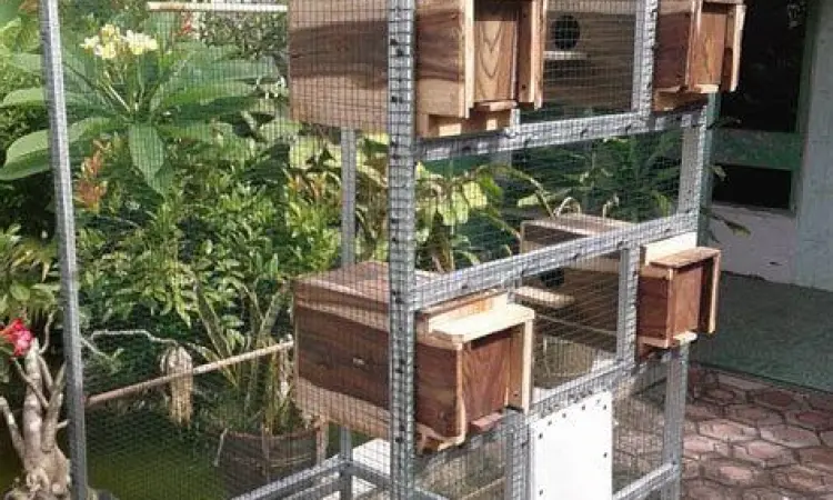 Dokter memberikan konsultasi melalui video call