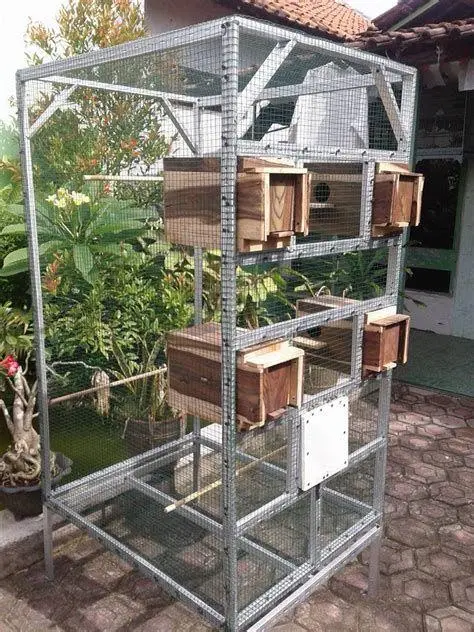 Konsultasi Medis Digital Dokter memberikan konsultasi melalui video call