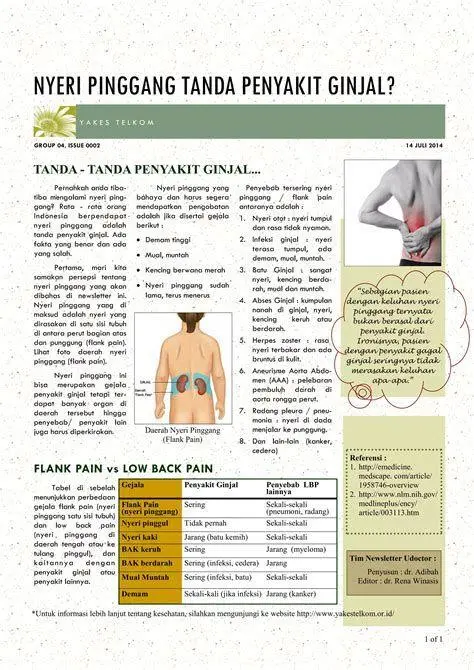 Gejala Gangguan Urologi Ilustrasi nyeri pinggang akibat gangguan ginjal