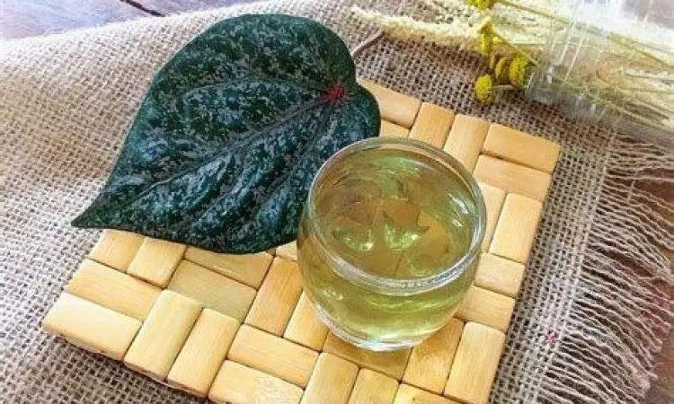 Air Rebusan Sirih Merah Gelas berisi air rebusan daun sirih merah