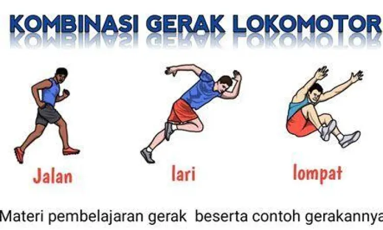 Tabel perbandingan gerakan lokomotor dan non lokomotor