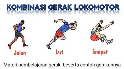 Perbandingan Gerak Dasar Tabel perbandingan gerakan lokomotor dan non lokomotor