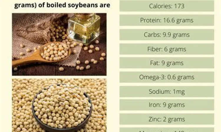 Biji kacang kedelai organik sebagai bahan baku susu