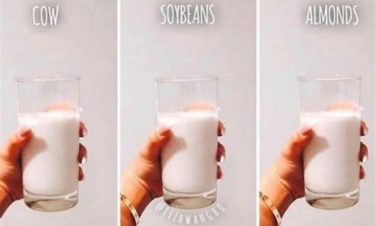 Seorang wanita mengonsumsi susu kedelai setelah berolahraga