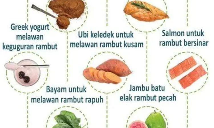 Nutrisi untuk Rambut Sumber nutrisi untuk mencegah rambut rontok seperti telur dan kacang-kacangan