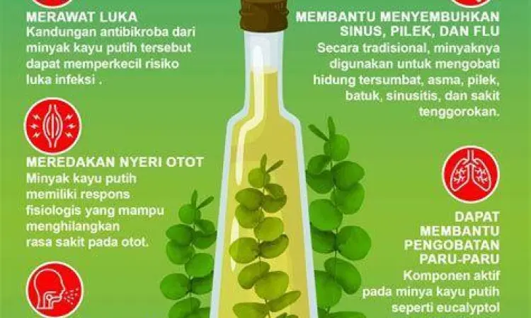 Manfaat kandungan minyak kayu putih dalam balsem