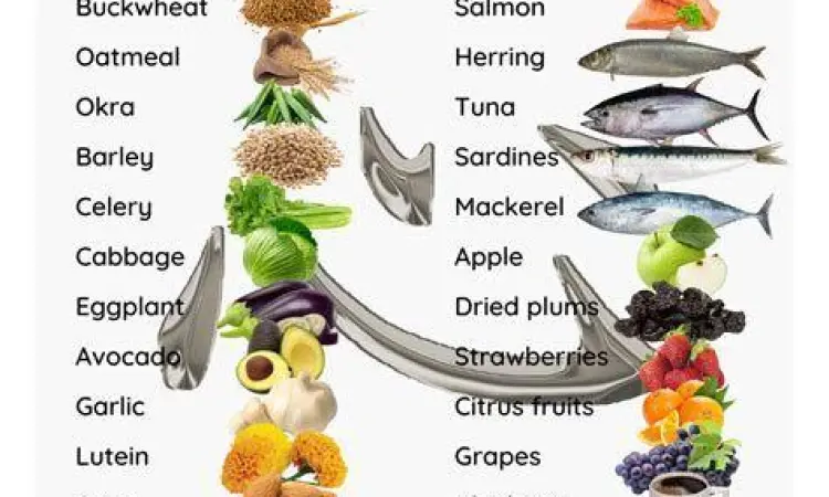 Diet Sehat Penurun Kolesterol Makanan sehat untuk menjaga kolesterol normal wanita