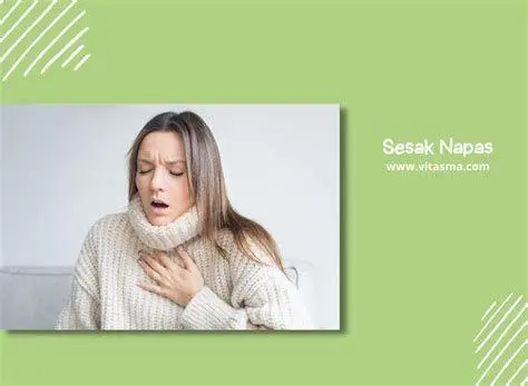 Penyebab Sesak Nafas ilustrasi penyebab sesak nafas pada sistem pernapasan manusia