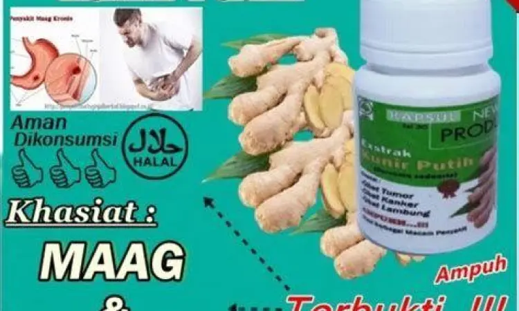 Bubuk Kunyit Putih Bubuk kunyit putih untuk minuman kesehatan