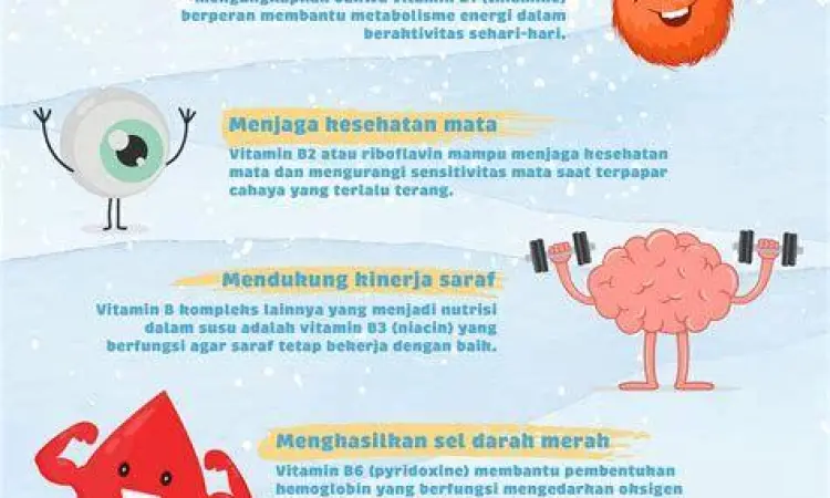 Infografis manfaat vitamin B kompleks bagi kesehatan saraf dan energi
