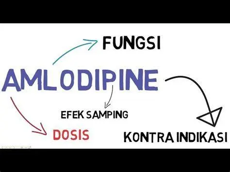 Mekanisme Kerja Amlodipine Ilustrasi mekanisme kerja amlodipine pada pembuluh darah