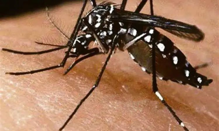 Nyamuk Aedes aegypti penyebab DBD