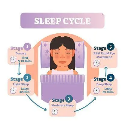 Siklus Tidur Manusia Ilustrasi siklus tidur manusia yang sehat untuk penderita insomnia
