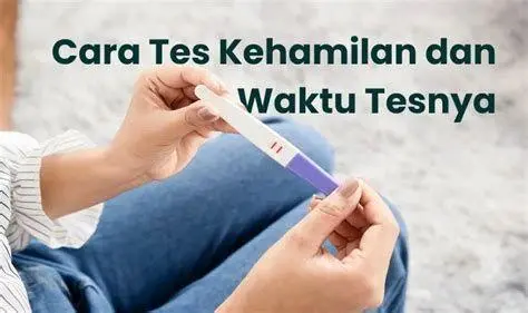 Waktu Pengujian Optimal Ilustrasi waktu terbaik tes kehamilan pagi hari