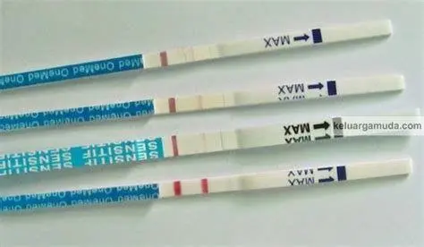 Interpretasi Hasil Tespek Gambar hasil tespek garis dua positif