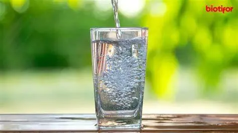 Pentingnya Hidrasi Segelas air hangat dengan uap tipis