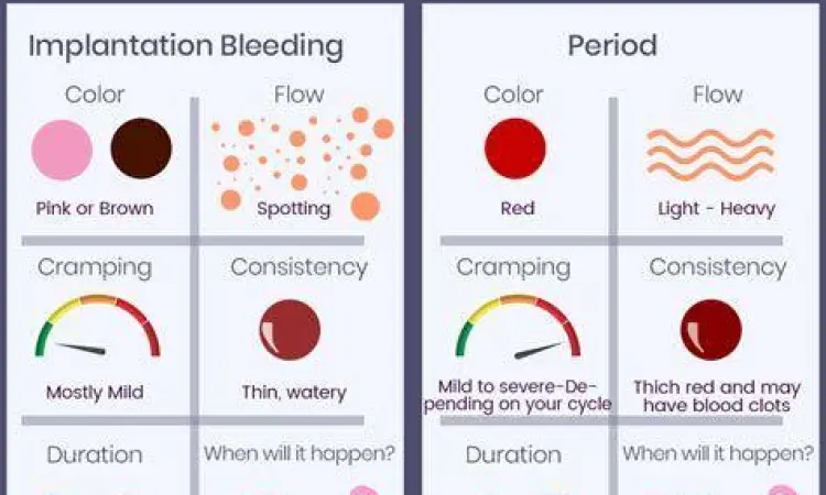 Bercak Darah Implantasi perbedaan flek implantasi dan haid