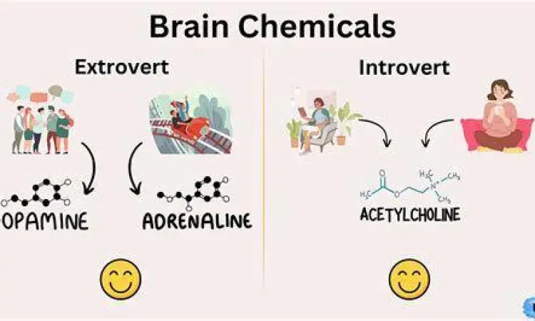 Diagram perbedaan otak introvert dan ekstrovert