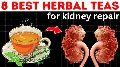 Teh Herbal Pecah Beling Secangkir teh herbal dari daun pecah beling