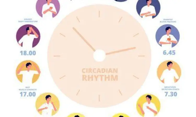 Cahaya matahari pagi memengaruhi ritme sirkadian tubuh