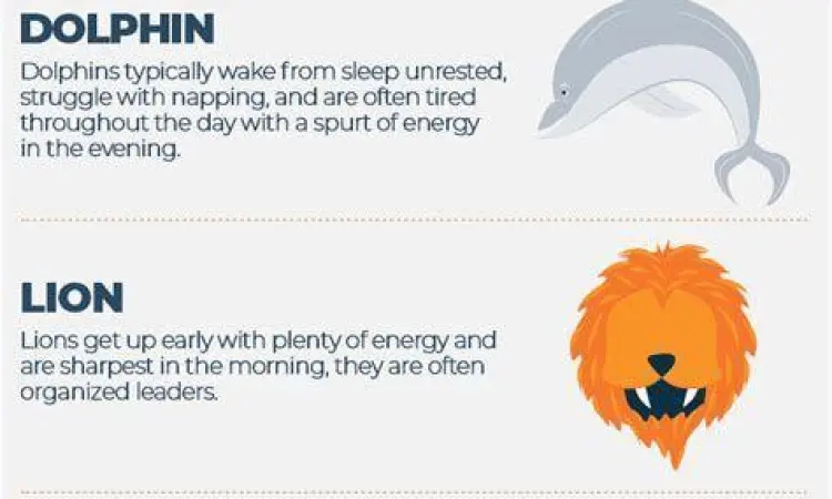 Empat Tipe Kronotipe Infografis empat tipe kronotipe manusia