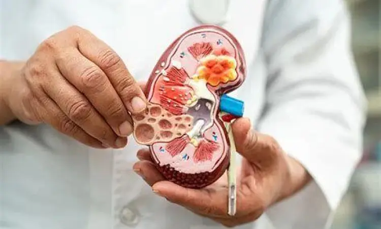 Visualisasi kesehatan ginjal manusia