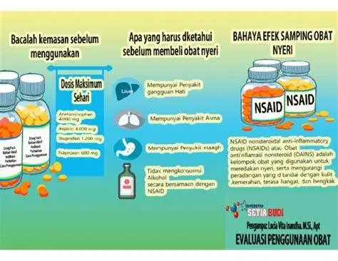 Risiko Efek Samping Mefinal Diagram efek samping NSAID pada lambung