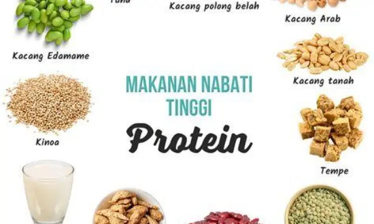 Olahan protein nabati dari kedelai dan kacang-kacangan