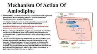Mekanisme Vasodilatasi Amlodipine Mekanisme kerja amlodipine 5 mg dalam pembuluh darah